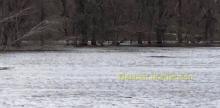 Mississippi River flowing into boom lake