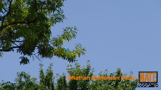 DSC02342