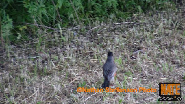 DSC02001